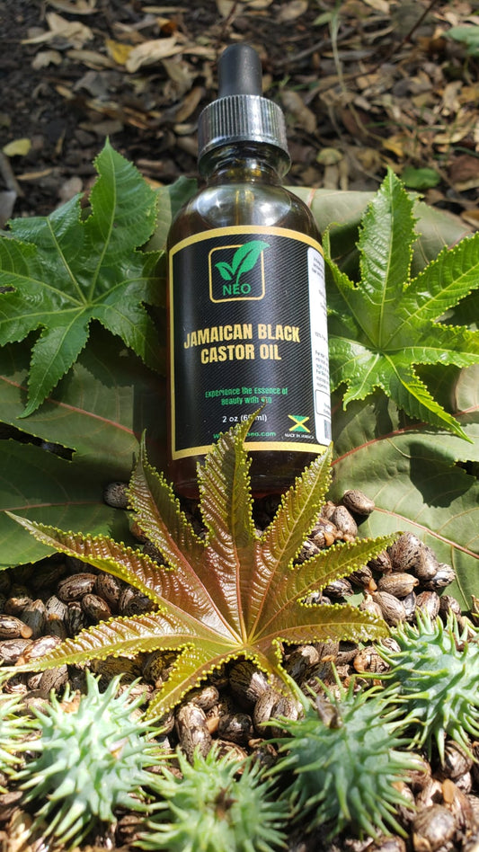 Jamaican Black Castor Oil (2 oz.)